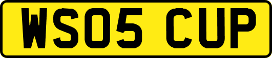 WS05CUP
