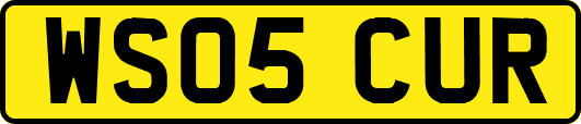 WS05CUR