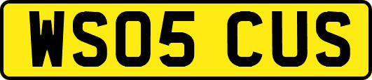 WS05CUS