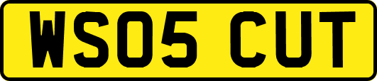 WS05CUT