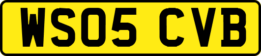 WS05CVB