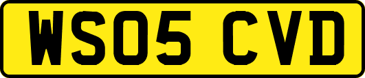 WS05CVD