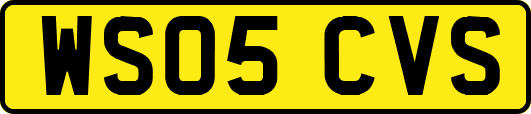 WS05CVS