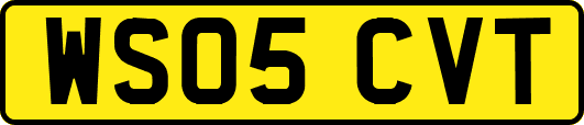 WS05CVT