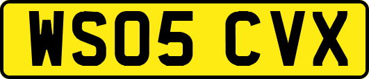 WS05CVX