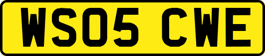 WS05CWE