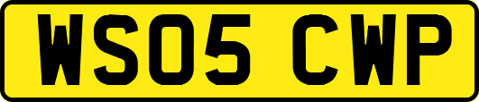 WS05CWP