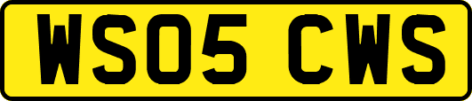 WS05CWS
