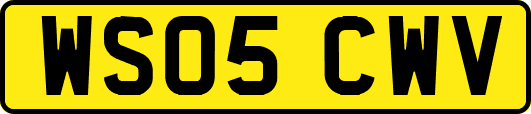 WS05CWV