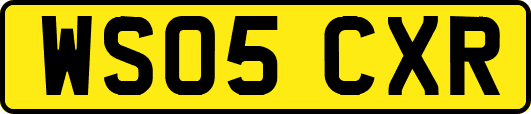 WS05CXR