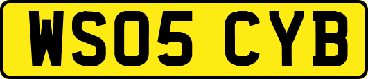 WS05CYB