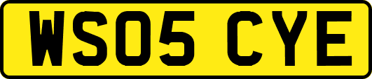 WS05CYE