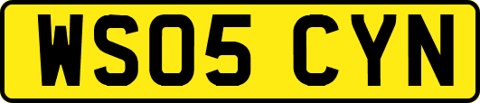 WS05CYN