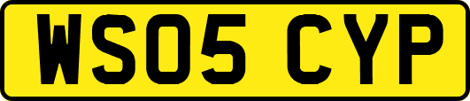 WS05CYP