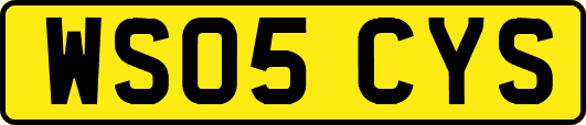 WS05CYS