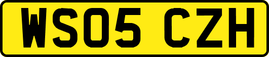 WS05CZH