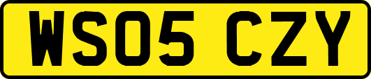 WS05CZY