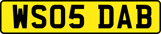 WS05DAB