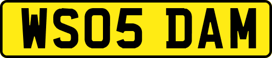 WS05DAM