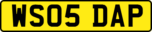 WS05DAP