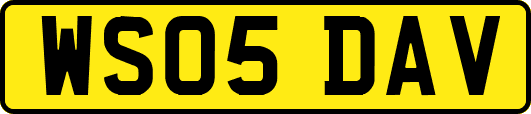 WS05DAV