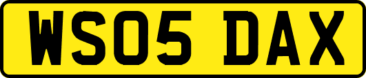 WS05DAX