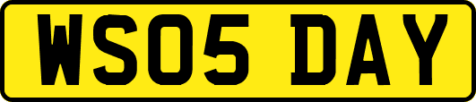 WS05DAY