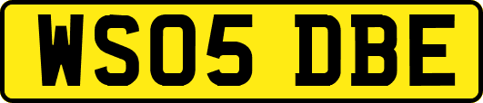 WS05DBE