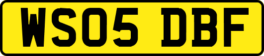 WS05DBF