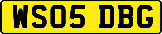 WS05DBG