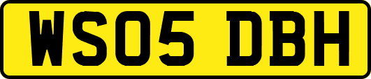 WS05DBH