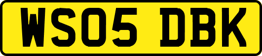 WS05DBK