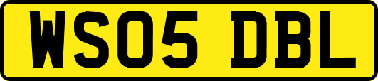 WS05DBL