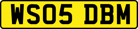WS05DBM
