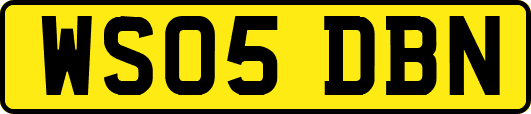 WS05DBN