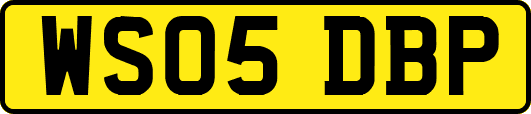 WS05DBP