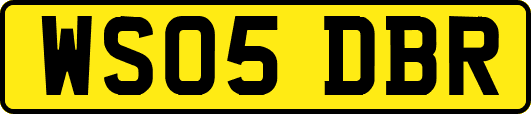 WS05DBR