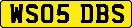 WS05DBS