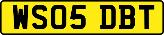 WS05DBT