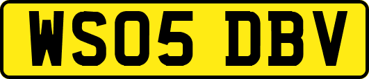 WS05DBV