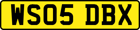 WS05DBX