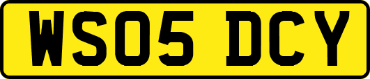 WS05DCY