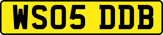 WS05DDB