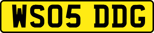 WS05DDG
