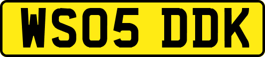 WS05DDK