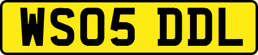 WS05DDL