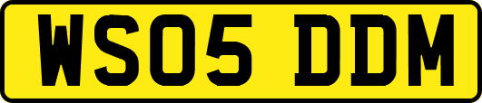 WS05DDM