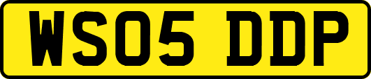 WS05DDP