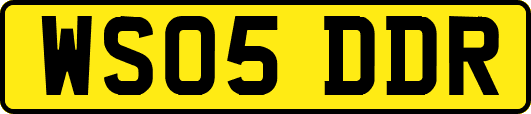 WS05DDR