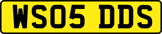 WS05DDS